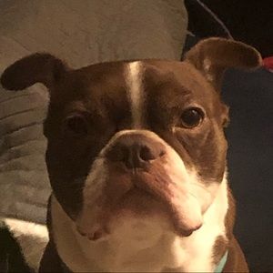 Meet your Posher, Bryce